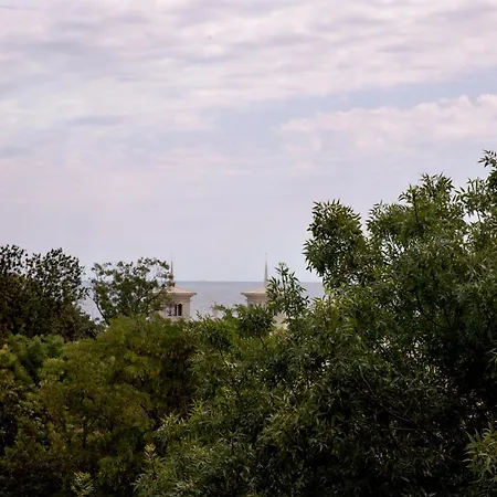 Apartamento One-bedroom Premium *