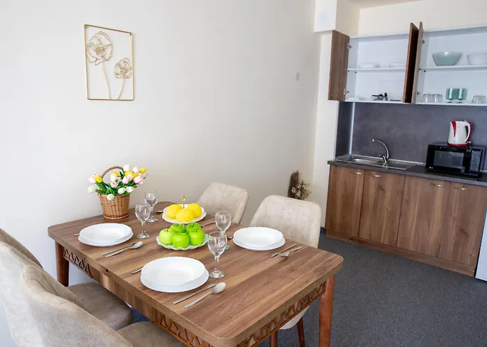 One-bedroom Premium 아파트 *